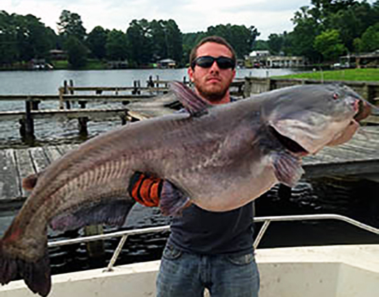 Lake Norman Residents Are Now Catching Some of The Biggest Catfish In The State