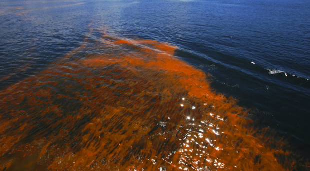 Gastonia’s Hazardous Materials Team Investigates Orange Mass Near The Belmont Wastewater Treatment Plant