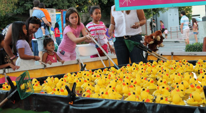 charlotte fall festival