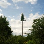 charlotte tree tower