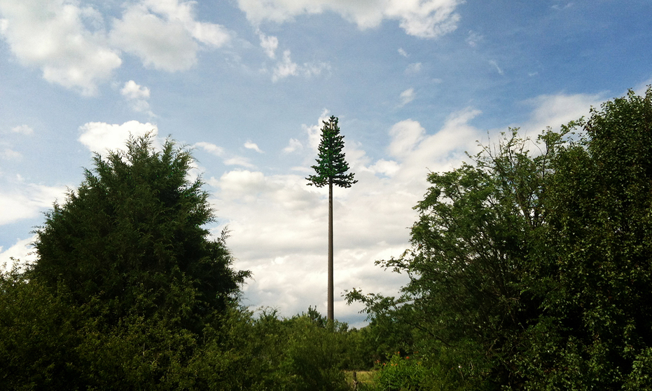 Charlotte’s Mysterious ‘Tree’ Communications Tower Is Raising Some Scary Questions