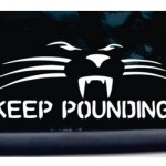 panther car decal gifts for panthers fans