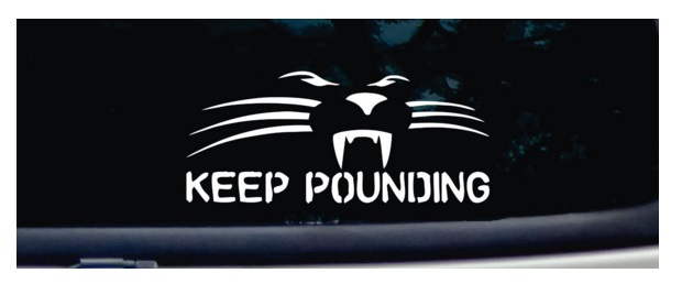 panther car decal gifts for panthers fans