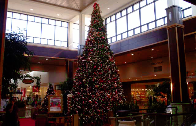 Southpark Mall Surrenders and Brings Back The Christmas Tree