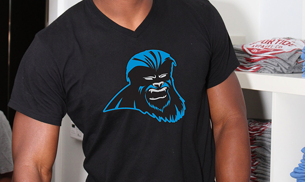 12 Gifts Every Carolina Panther Fan Will Love