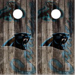 panthers corn hole set