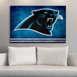 ultimate gifts for panther fans