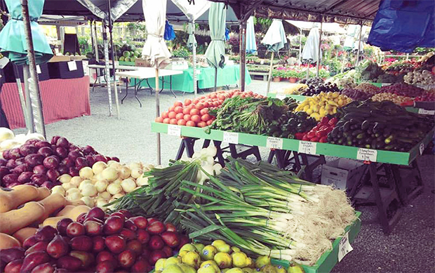 Top 10 Biggest Farmers Markets Open This Weekend in Charlotte