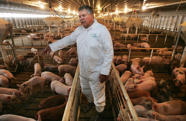 Smithfield Foods Generating Renewable ‘BioGas’ From Pigs to Power North Carolina Communities