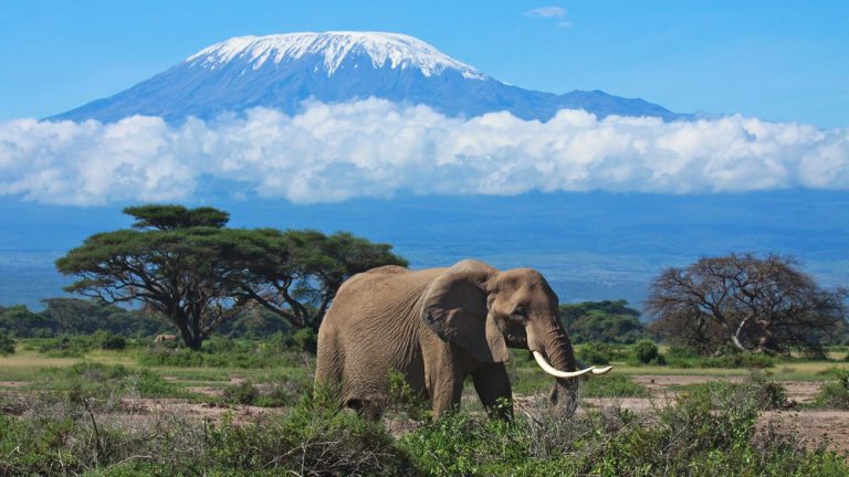 Charlotte’s Macon Dunnagan Crowned Tanzanian Ambassador After Climbing Mt. Kilimanjaro 38 Times