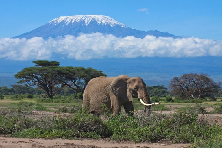 Backpacking South America: Essential Tips and Must-See Places