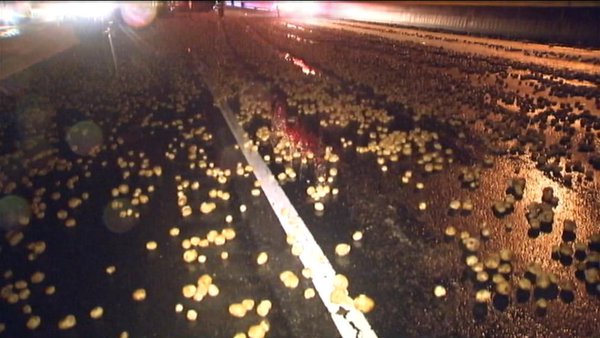 i77 Shut Down Friday Morning Due To Major Potato Spill