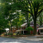 plaza midwood home tour