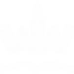 CharotteStoriesLogoWhite