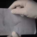 envelope with poop gastonia