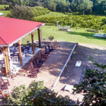 tree house winery charlotte