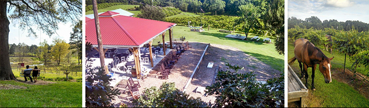 tree house winery charlotte