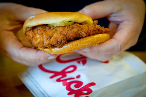 free chicken sandwhich delivery