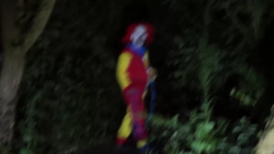 clown in woods south carolina