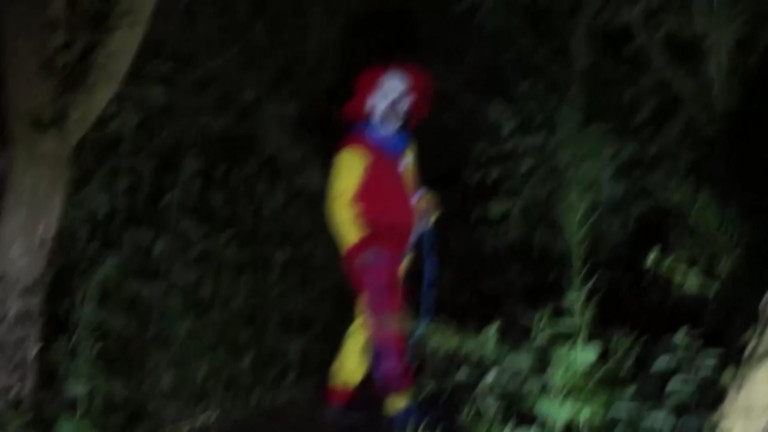 Clown Trying To Lure Children Into South Carolina Woods