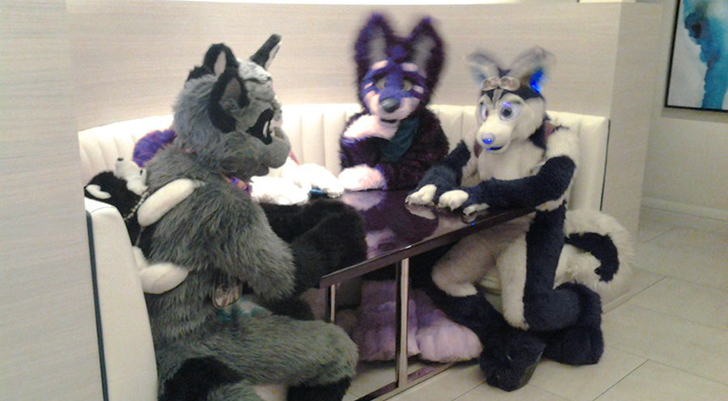 furries at a table