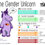 gender unicorn