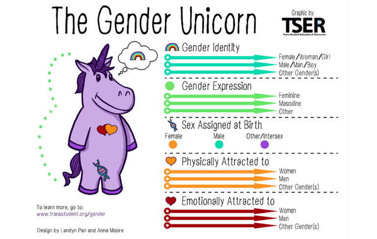 CMS Introduces Gender Unicorn During Transgender Policy Presentation