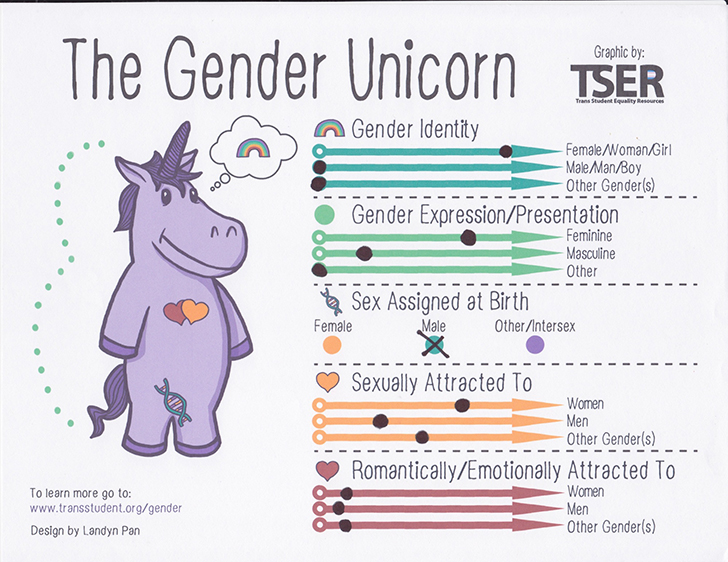 gender unicorn example