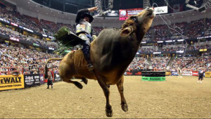 professional bull riding charlotte