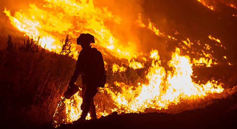 NoDa Brewery Is Asking For Supplies To Help The Firefighters Battle The NC Wildfires