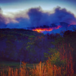 north-carolina-wildfires-set-intentionally