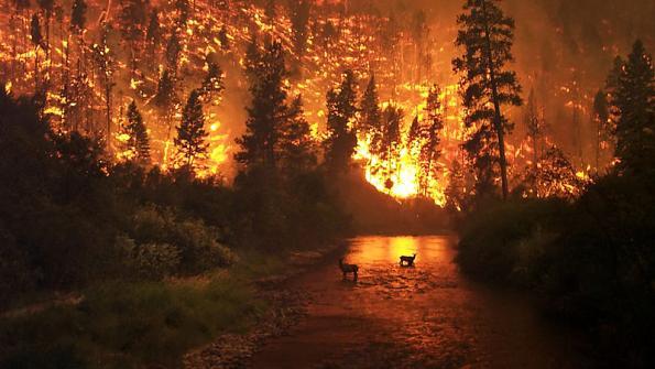 National Weather Service Issues Emergency ‘Fire Warning’ For Charlotte Region