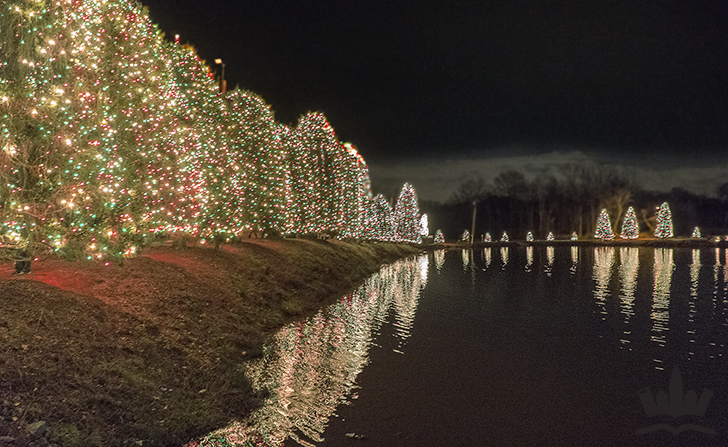 lake-lights-mcadenville