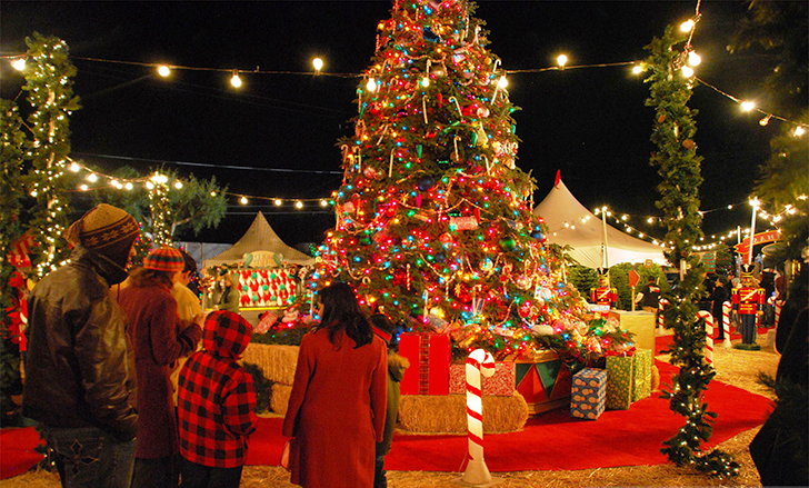 Adventuring Through the Holidays: Unique Outings and Experiences to Enjoy This Season