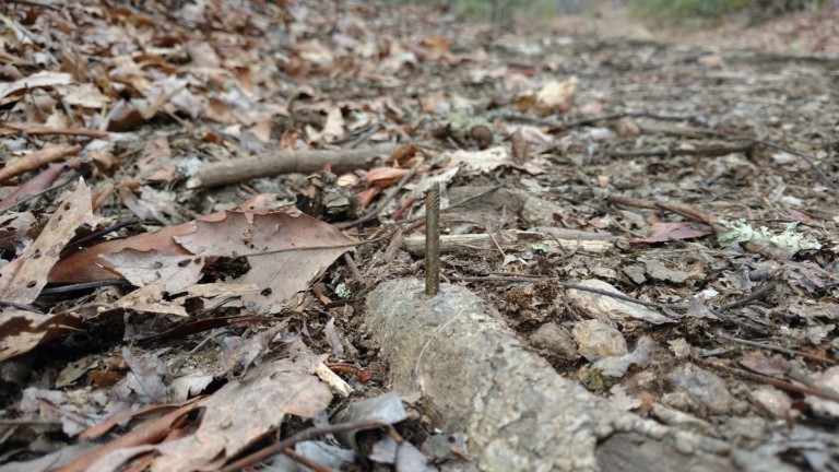 Runner’s Foot Impaled By Intentionally Placed Nail – 40 More Were Found On North Carolina Trail