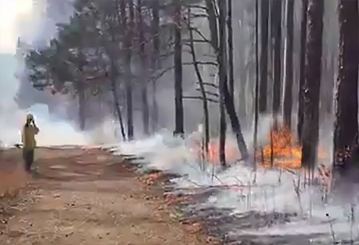 Mecklenburg County Igniting a ‘Controlled Burn’ This Morning by Mountain Island Lake