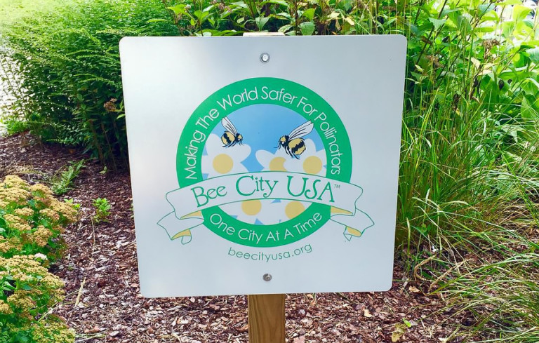 The Town of Davidson Is Now Officially “Bee City USA”