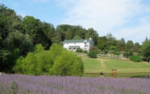 farm-contest-north-carolina