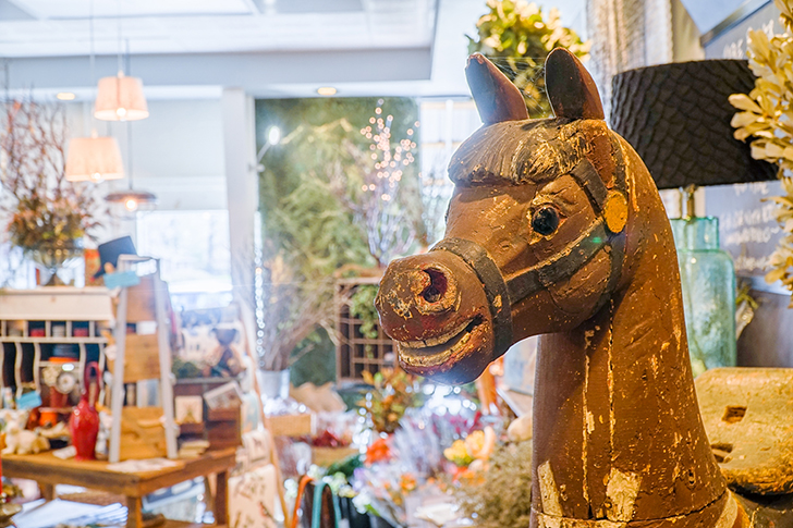 horse-inside-store-rootz-huntersville