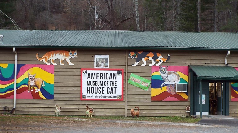 America’s First House Cat Museum Recently Opened in North Carolina