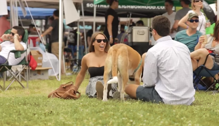 Rescue Dogs And Discover New Craft Brews At Charlotte’s 4th Annual South End Hops Fest