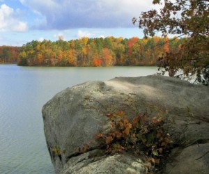 buzzard-rock-charlotte-mecklenburg-parks-and-recreation