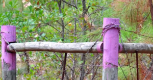 purple-fence-paint-no-tresspassing-in-north-carolina