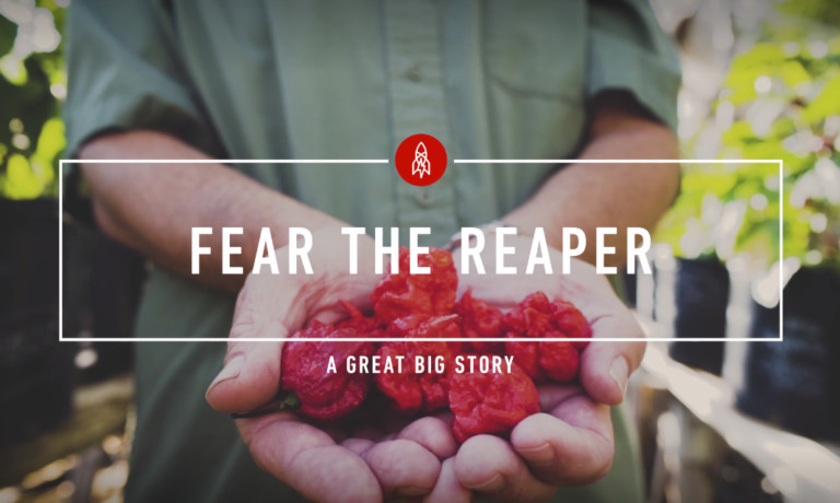 Fort Mill Now Grows The Hottest Pepper in The World – The Carolina Reaper (Video)