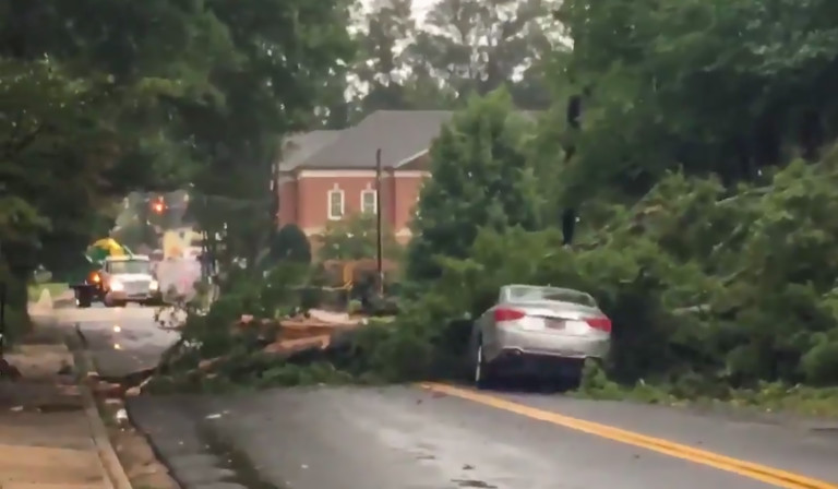 Irma Left Hundreds of Trees Down and Thousands Without Power Around The Charlotte Region