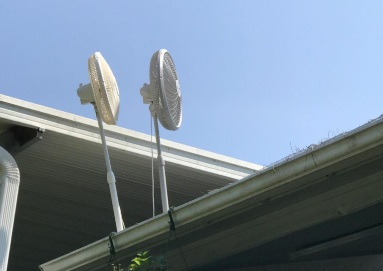 North Carolina Launches 2025 Operation Fan Heat Relief To Give Away Free Fans This Summer