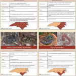 SnakeBitePoster in north carolina