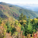 fall-parkway-view-oct3