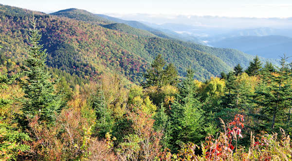 Here’s When Fall Colors Are Predicted To Peak in North Carolina in 2022