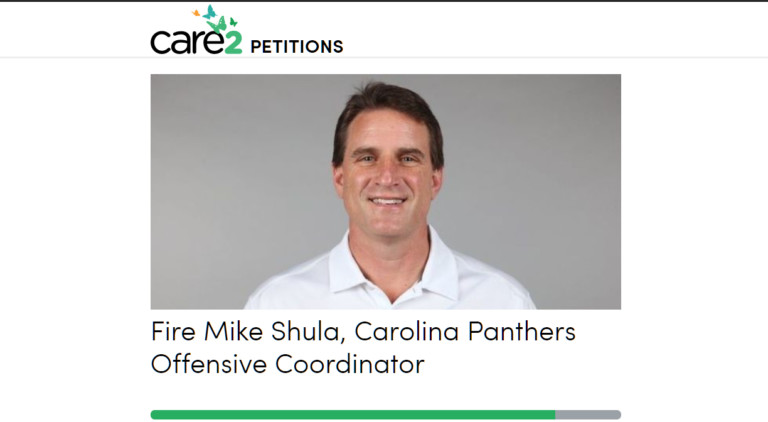 After The Panthers 3-17 Loss To The Bears, Fans Now Calling For Shula’s Termination